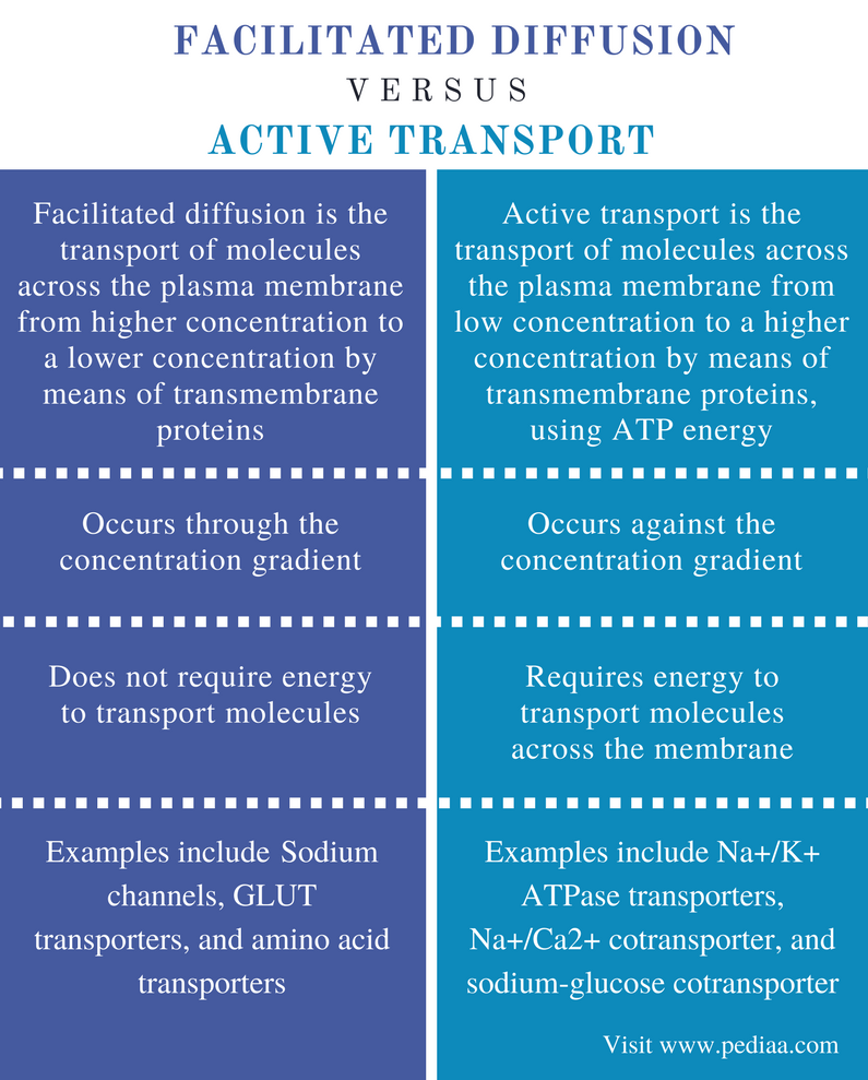 difference-between-facilitated-diffusion-and-active-transport-pediaa-com