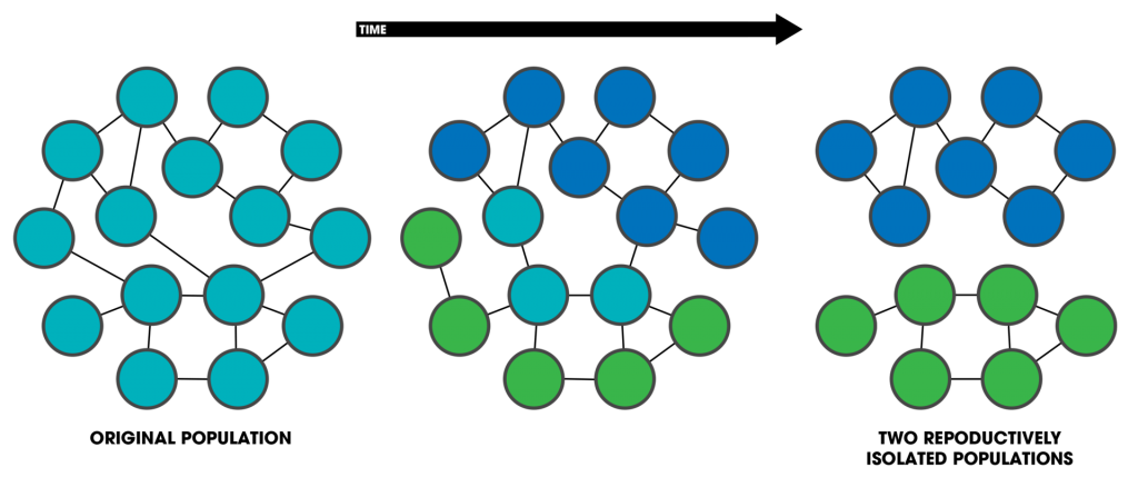 difference-between-geographical-and-reproductive-isolation-definition