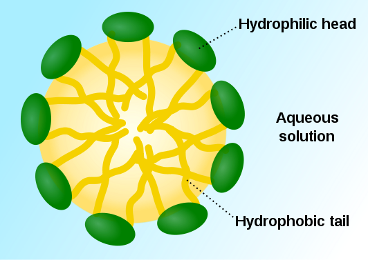 difference-between-hydrophobic-and-hydrophilic-molecules-definition