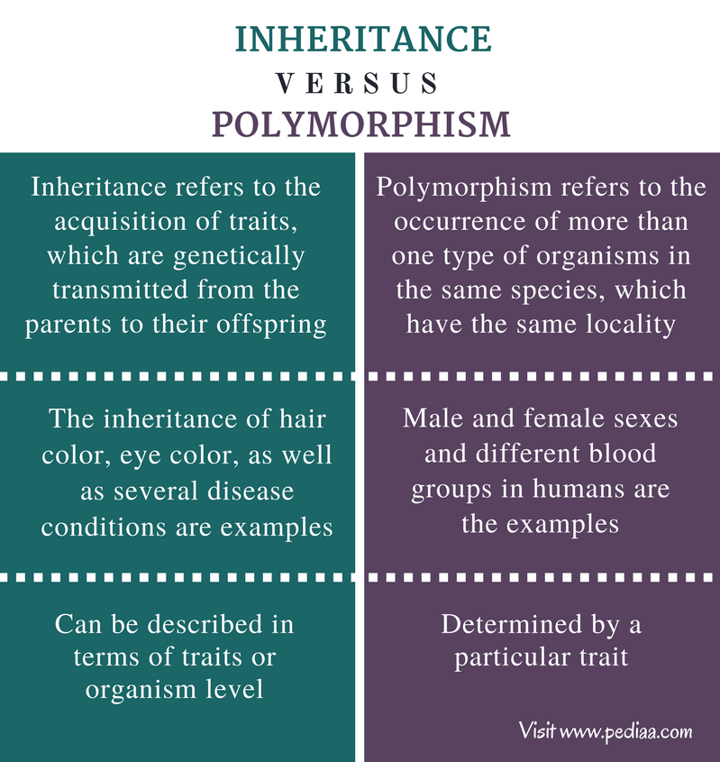 difference-between-inheritance-and-polymorphism-definition