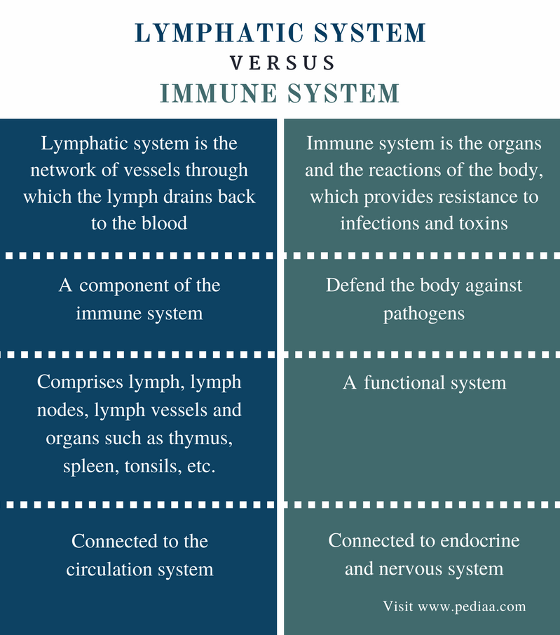 Difference Between Lymphatic And Immune System Definition Components