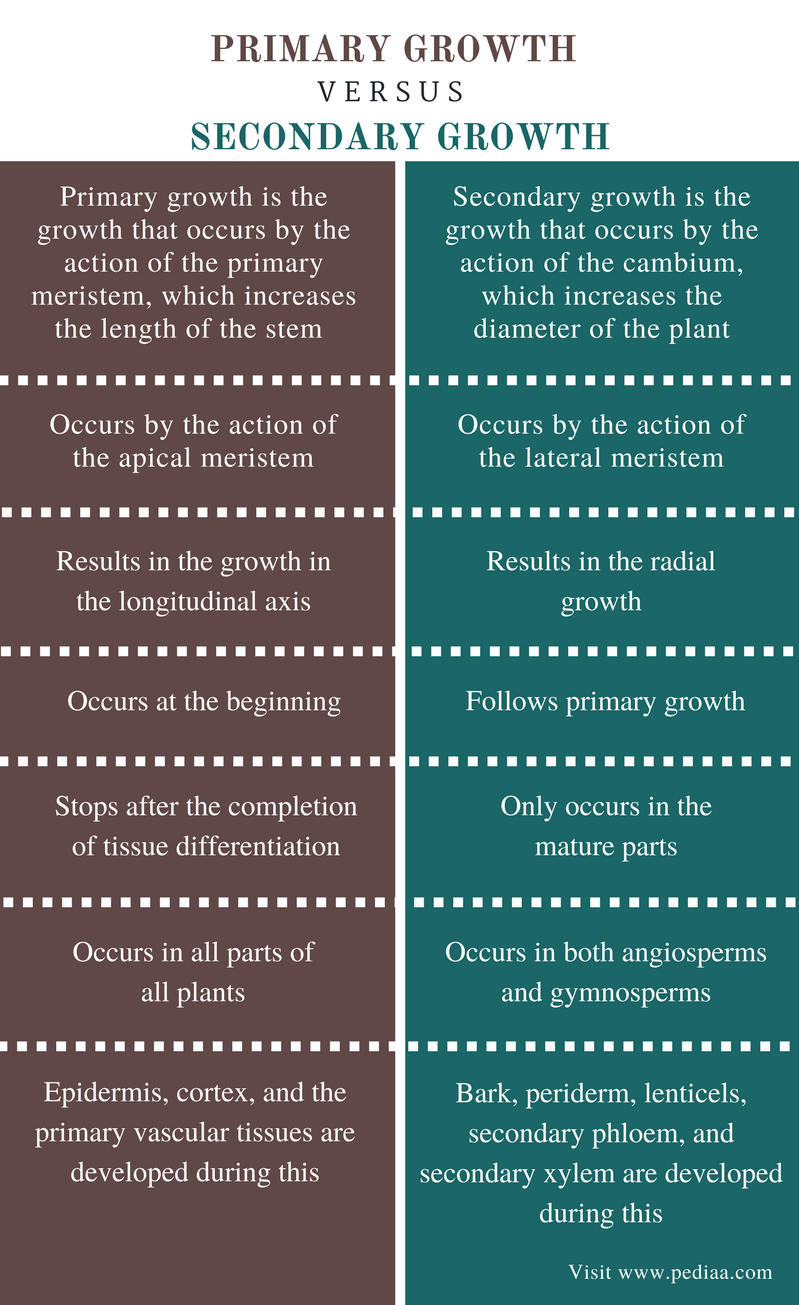 Difference Between Primary And Secondary Growth Definition Characteristics Role