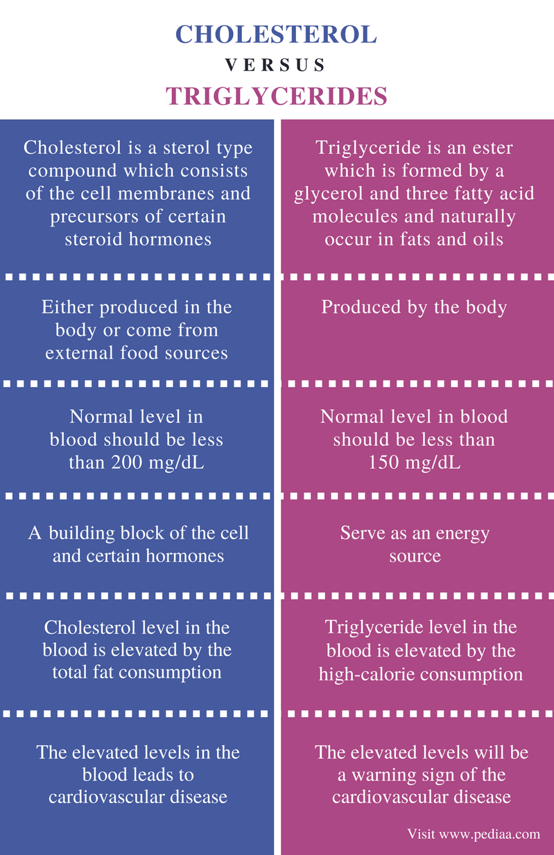 difference-between-cholesterol-and-triglycerides-definition-role-in