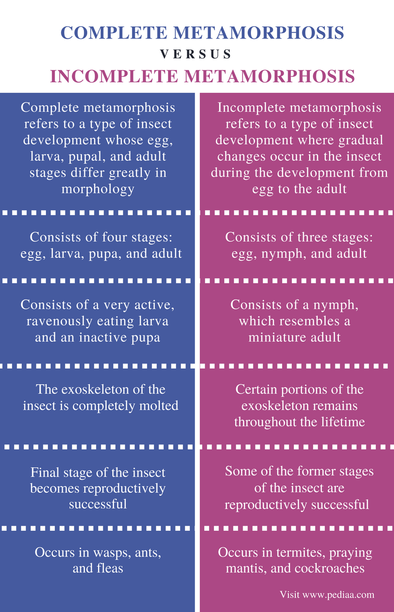 Difference Between Complete And Incomplete Metamorphosis Definition 