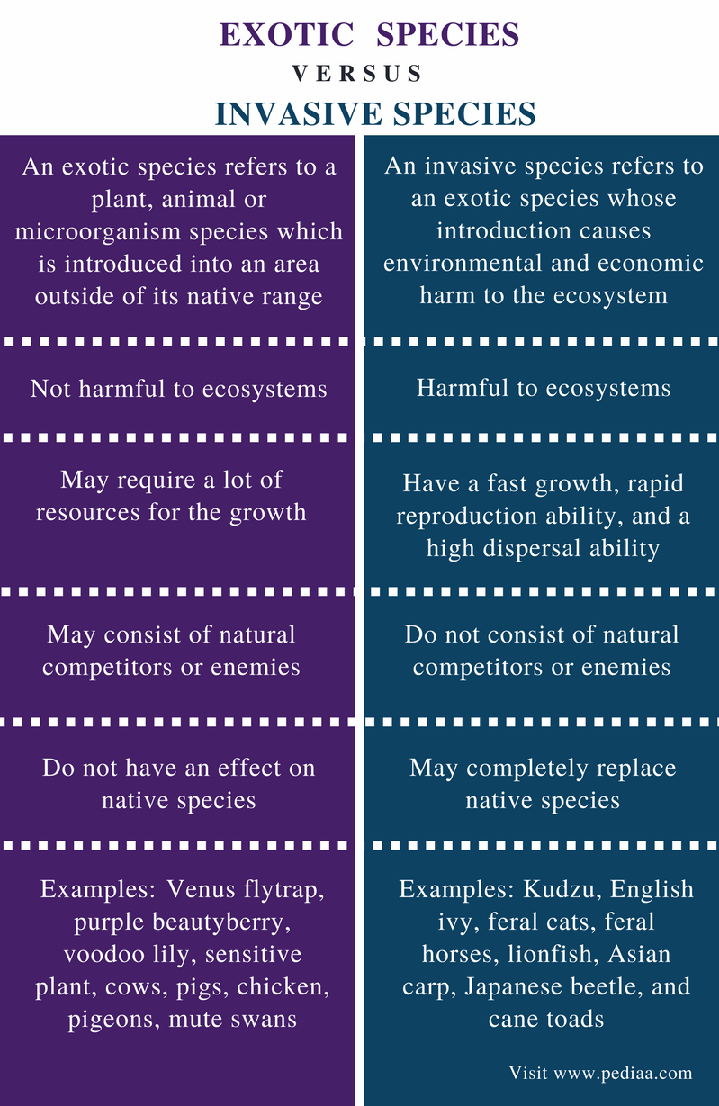 Difference Between Invasive And Non Invasive