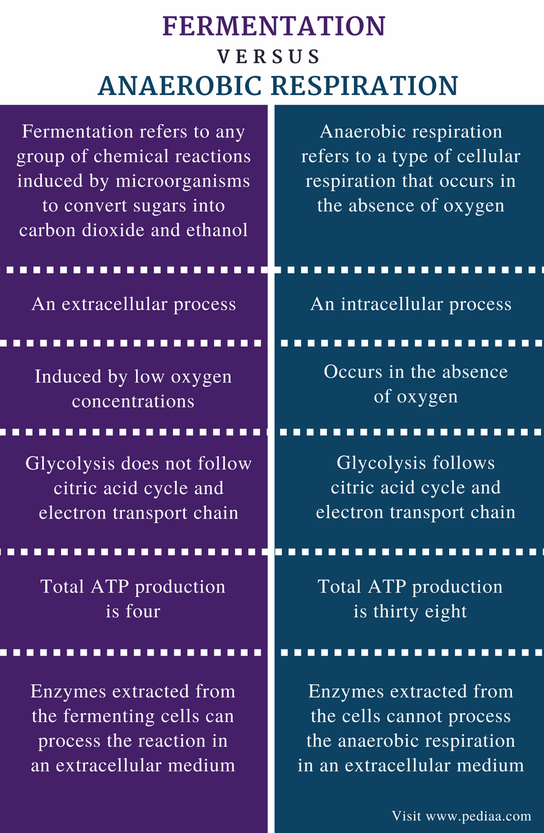 compare and contrast aerobic respiration, anaerobic respiration, and fermentation.