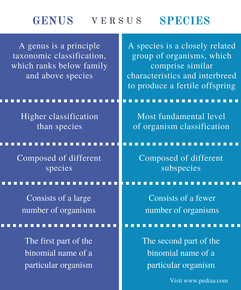 Difference Between Genus and Species Definition, Criteria, Characteristics