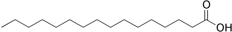 Difference Between Glycerol and Fatty Acids_Figure 3