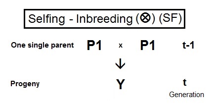 Main Difference - Inbreeding vs Interbreeding