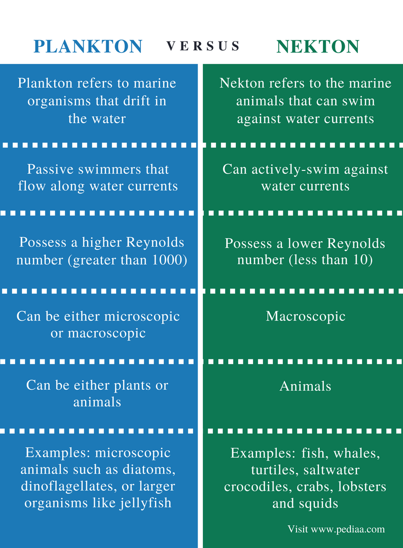 Difference Between Plankton and Nekton | Definition, Characteristics