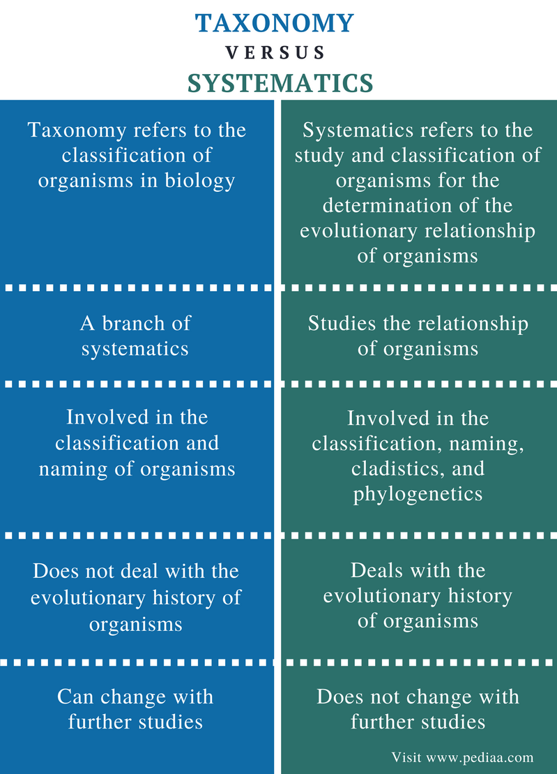 similarities between classification and phylogeny