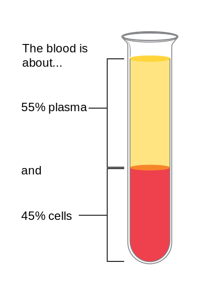 Main Difference - Blood vs Plasma