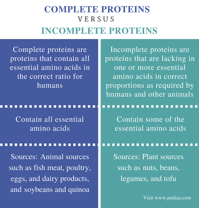 difference-between-complete-and-incomplete-proteins-definition