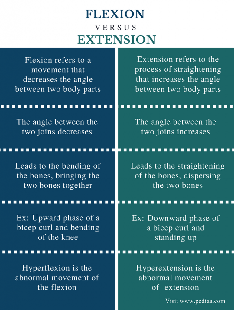 difference-between-flexion-and-extension-pediaa-com