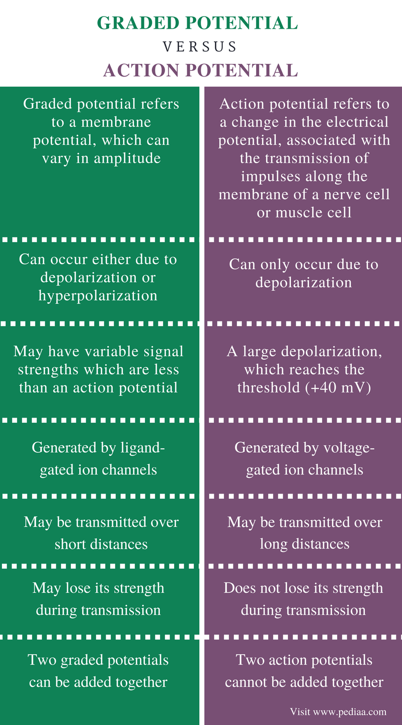 action-potential-simulation-aps-therapy-ms-trust