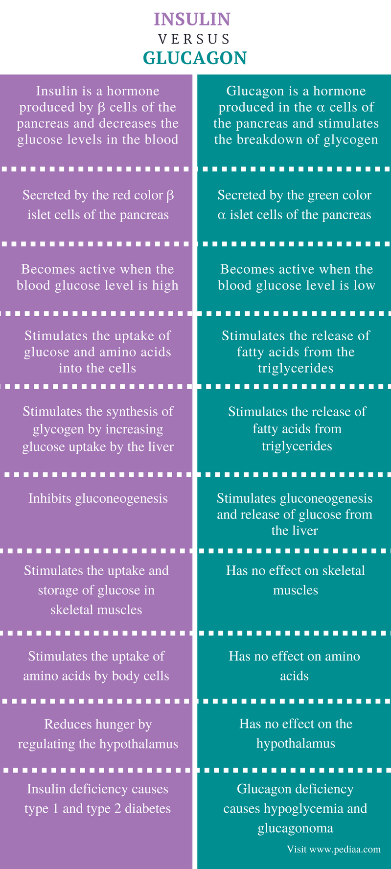 Difference Between Insulin and Glucagon – Pediaa.Com