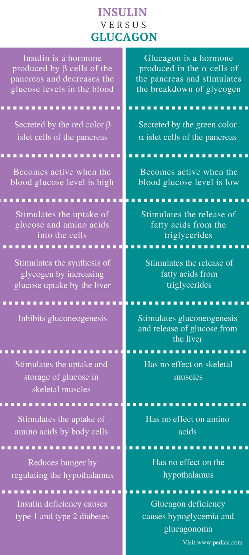 difference-between-insulin-and-glucagon-definition-role-associated