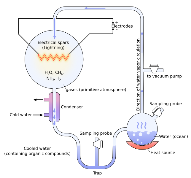 Difference Between Abiogenesis and Biogenesis