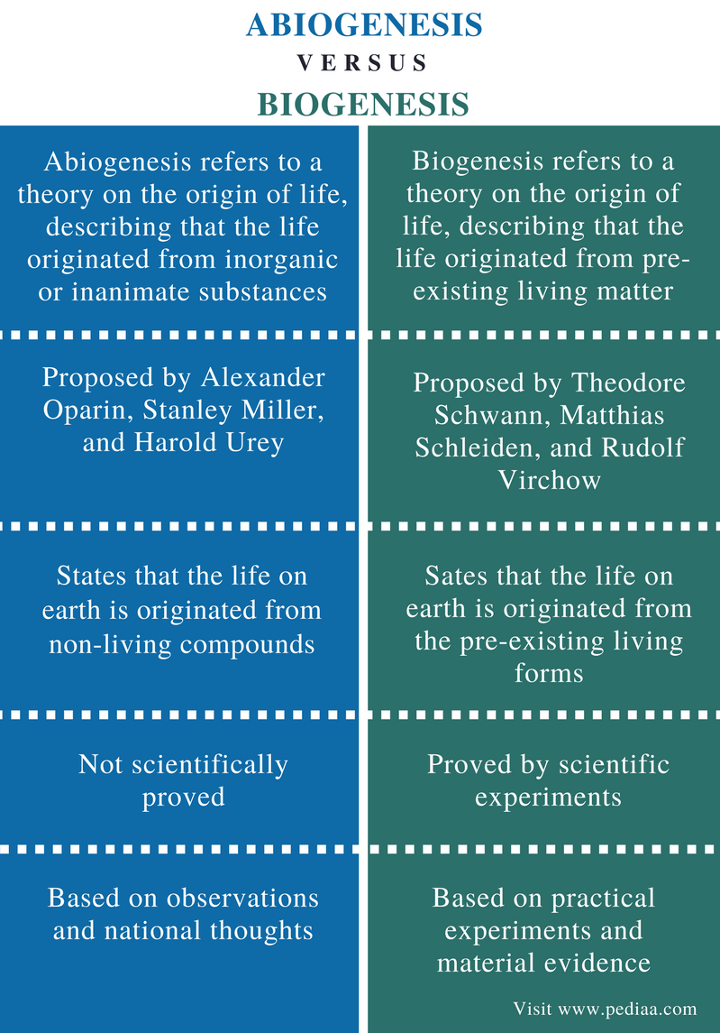 explain the organismic theory of the origin of the state