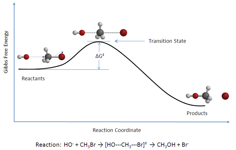 Difference Between Activated Complex and Transition State