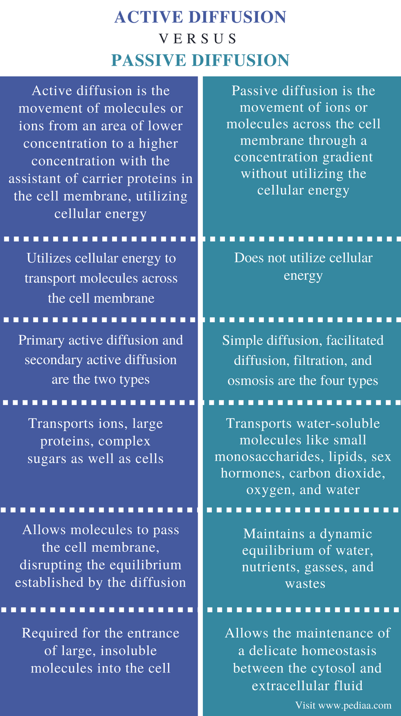 difference-between-active-and-passive-diffusion-definition-types-of