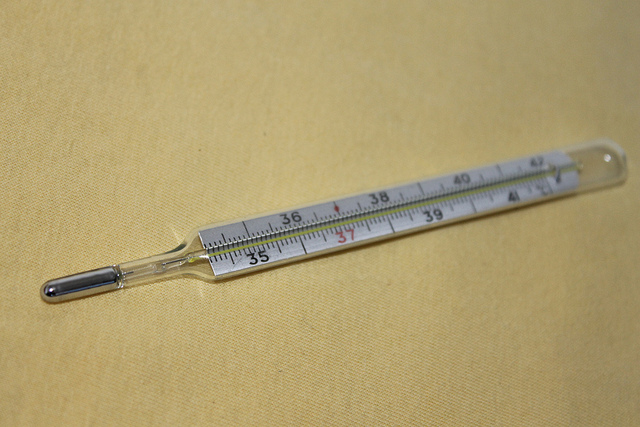 information about digital thermometer wikipedia