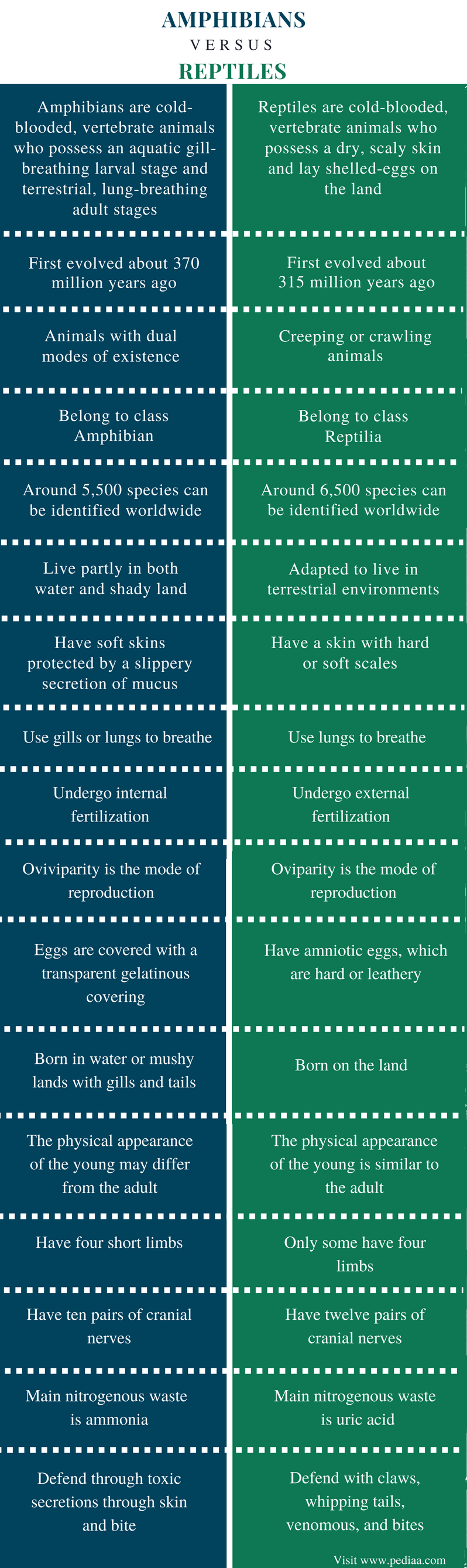 difference-between-amphibians-and-reptiles-definition-facts