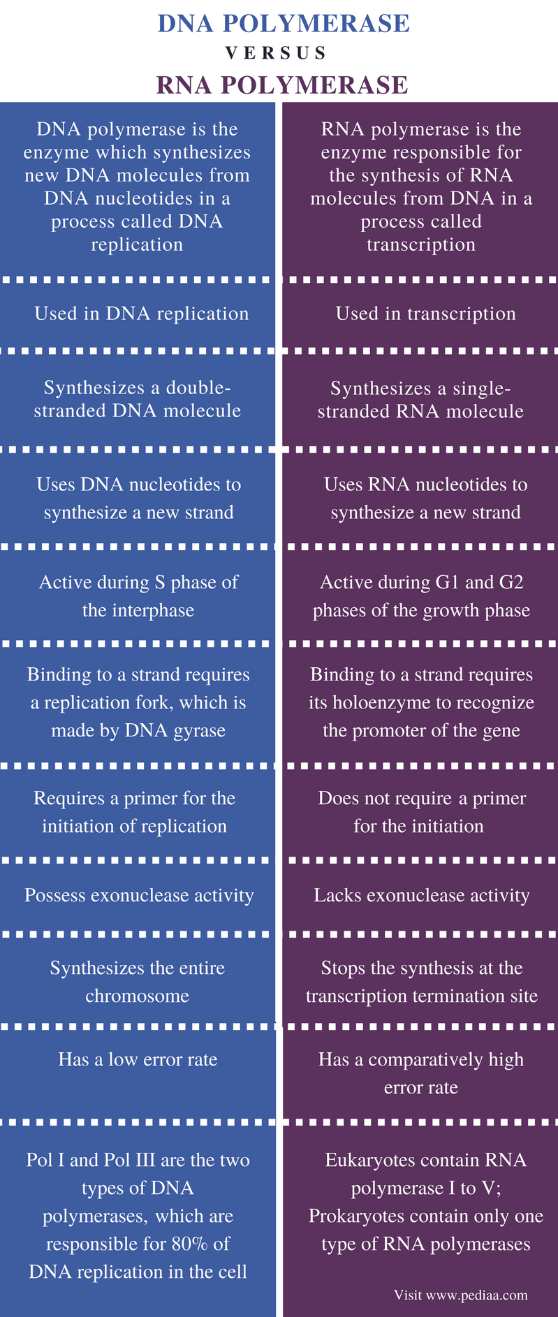 What Are The Similarities Between Dna Polymerase And Rna Polymerase