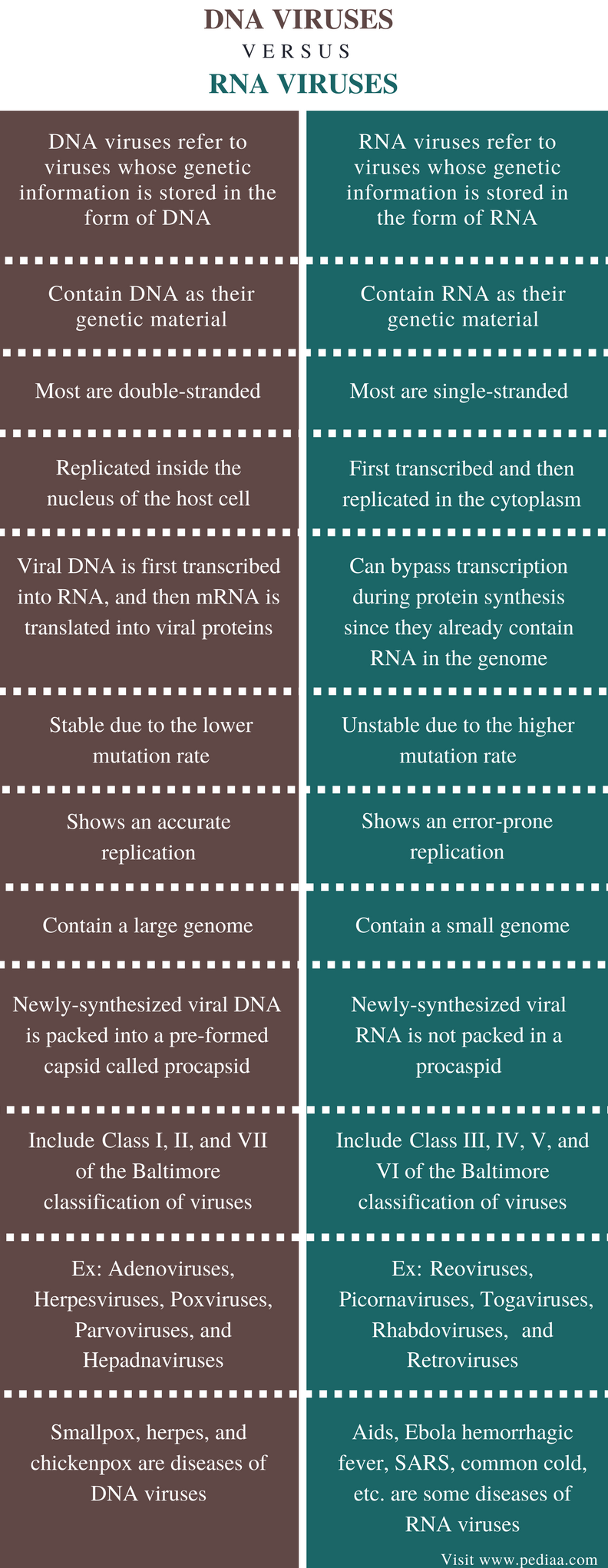 differences-between-dna-and-rna