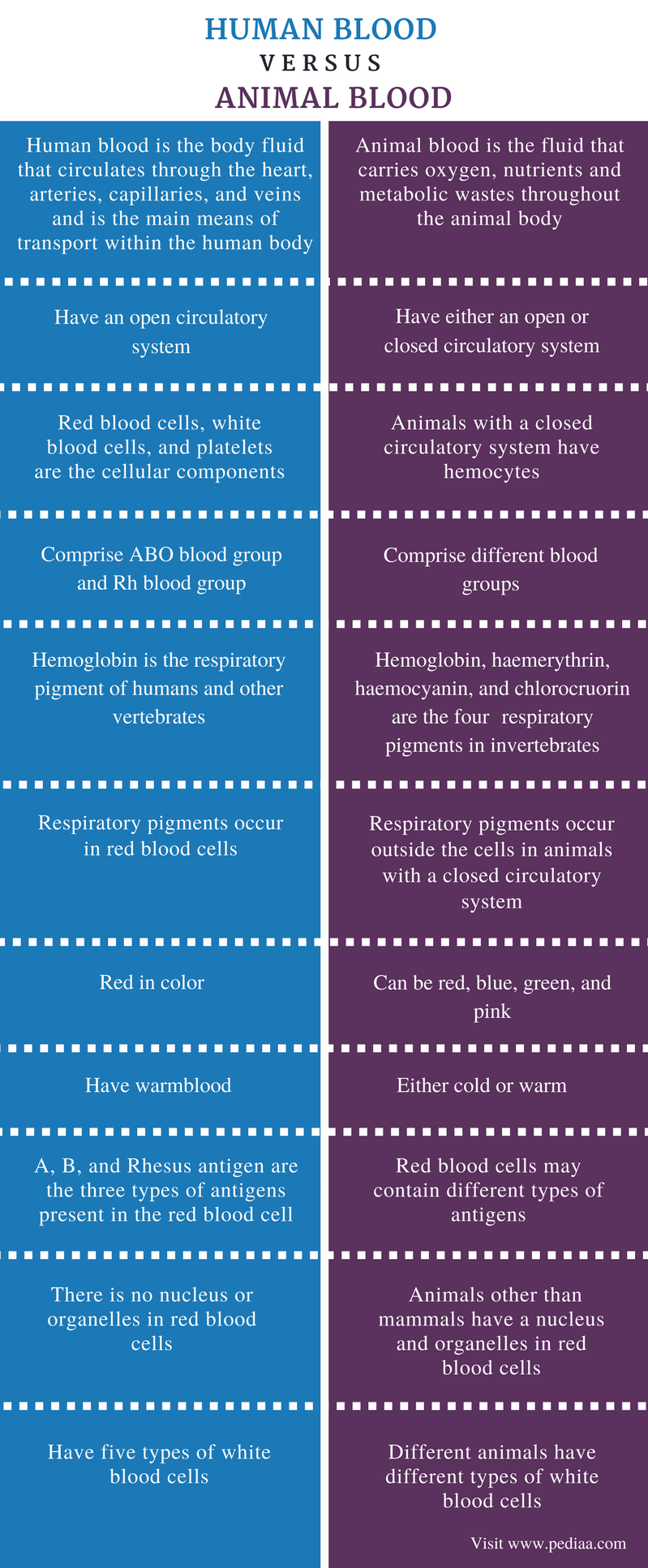 Difference Between Human Blood and Animal Blood | Definition