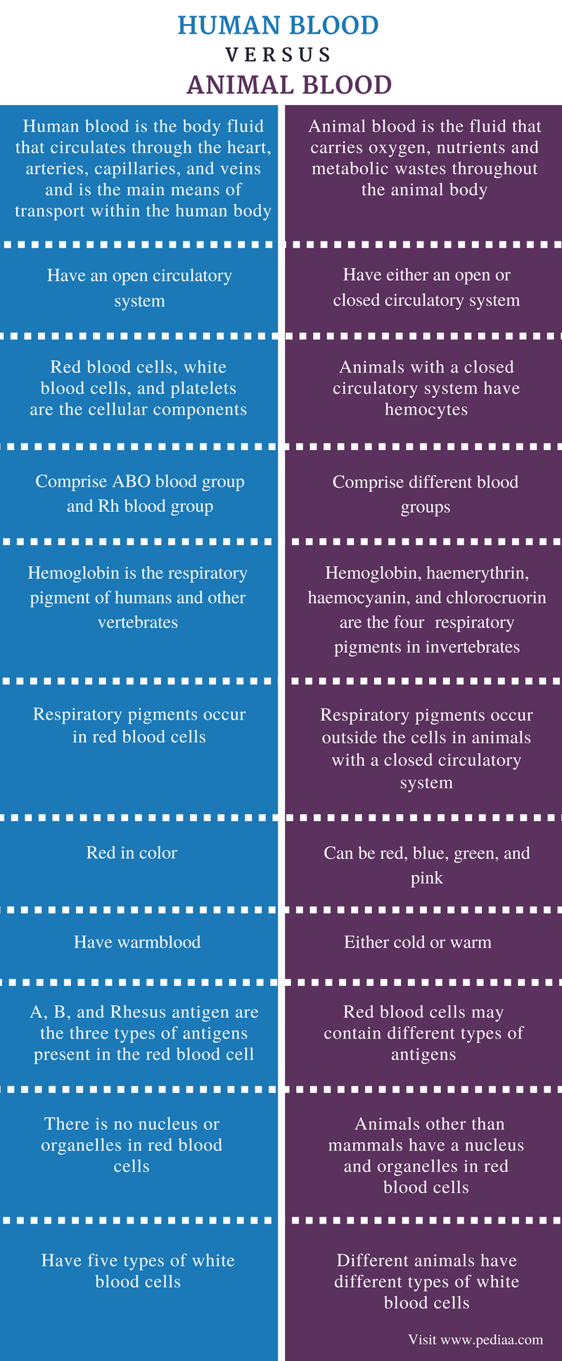 What Is The Difference Between Human And Dog Blood