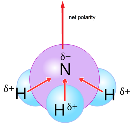 Difference Between Polar And Nonpolar Dielectrics Definition Polarity Examples And Differences