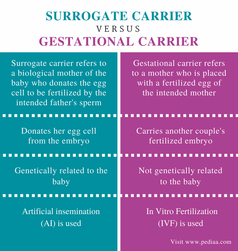 the-gestational-carrier-process-what-to-expect