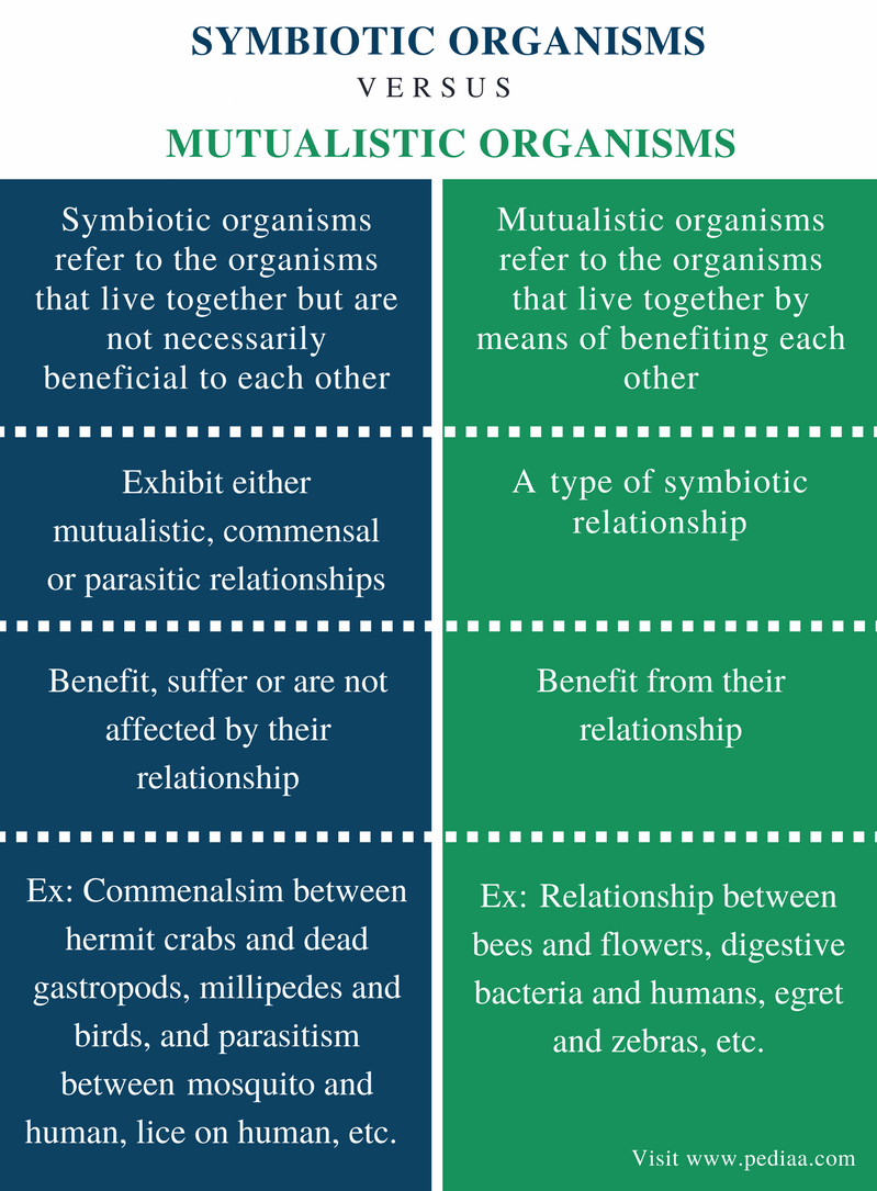 which is not an example of a symbiotic relationship