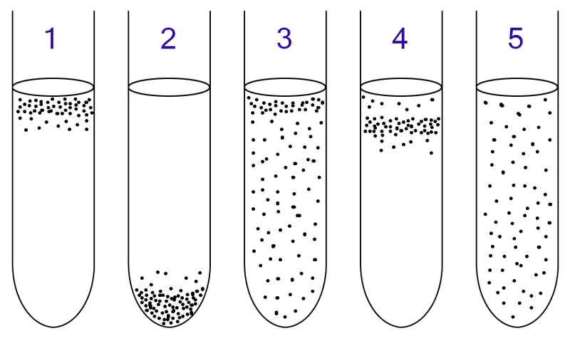 Main Difference - Aerobic vs Anaerobic Bacteria