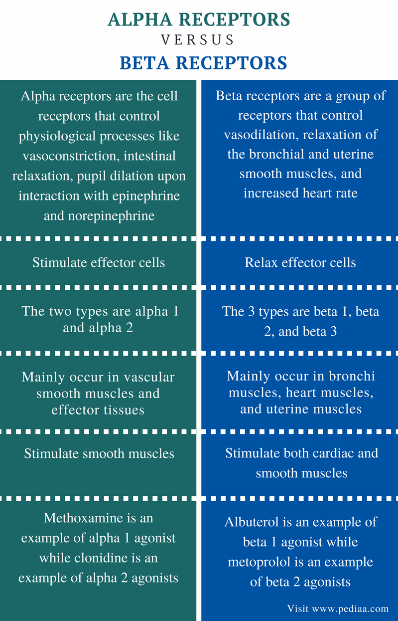 Alpha And Beta Receptors Chart