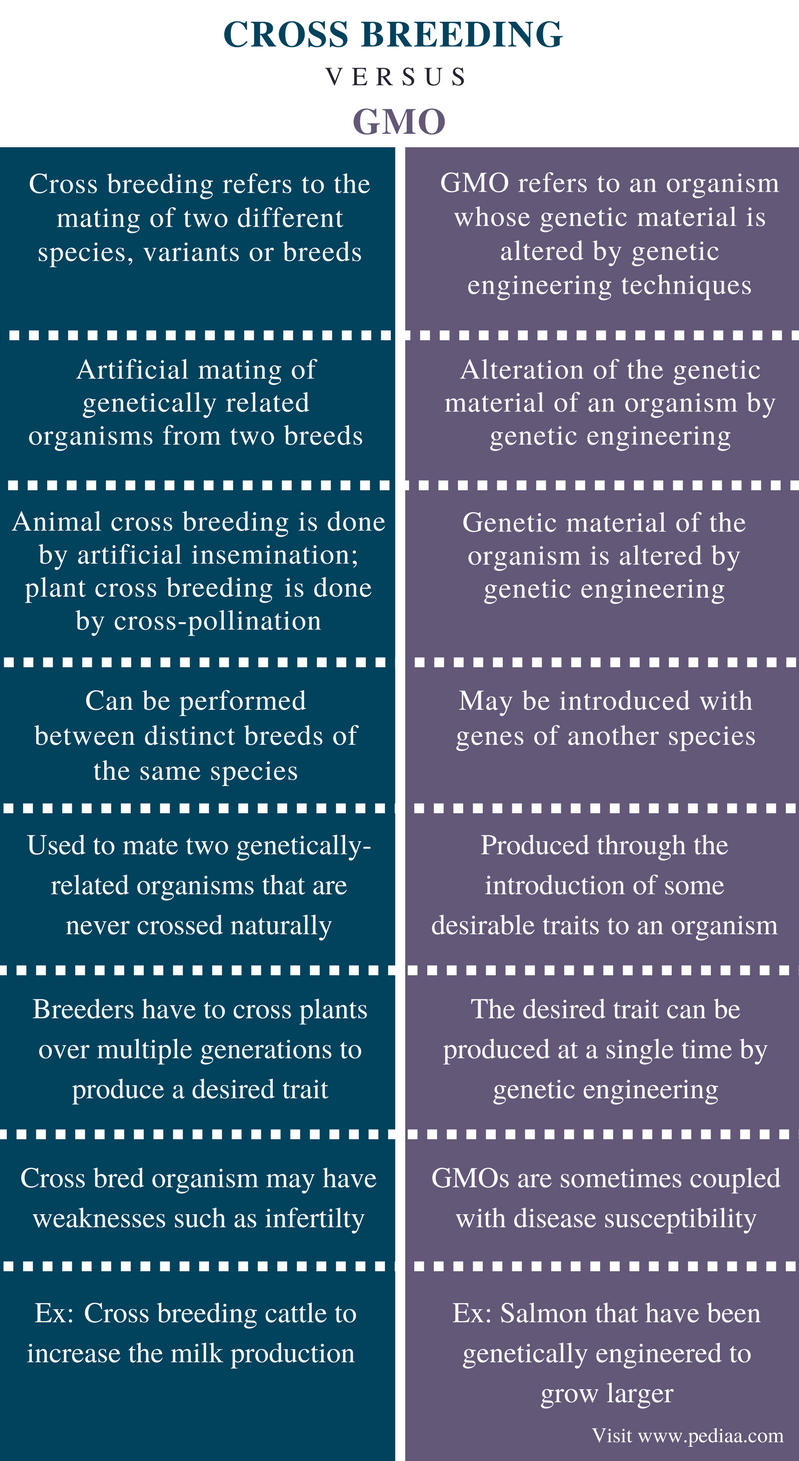 Research Methods for Human Resource