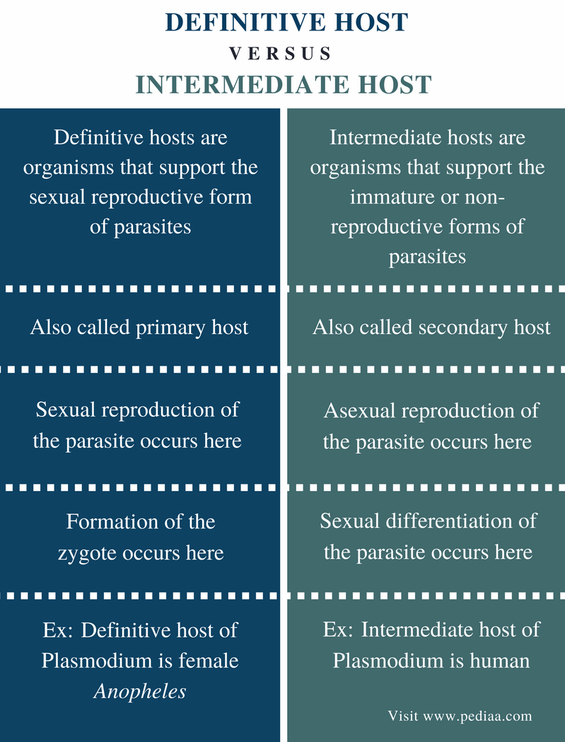 difference between definitive host and intermediate host