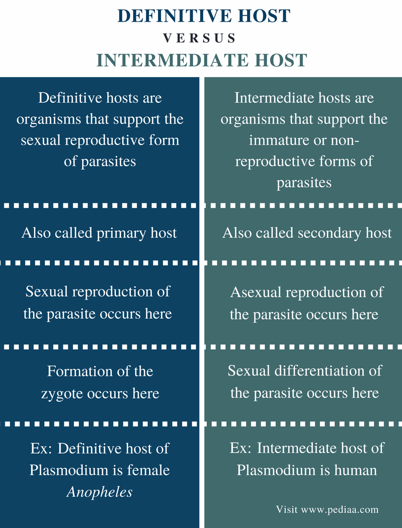 difference-between-definitive-host-and-intermediate-host-definition