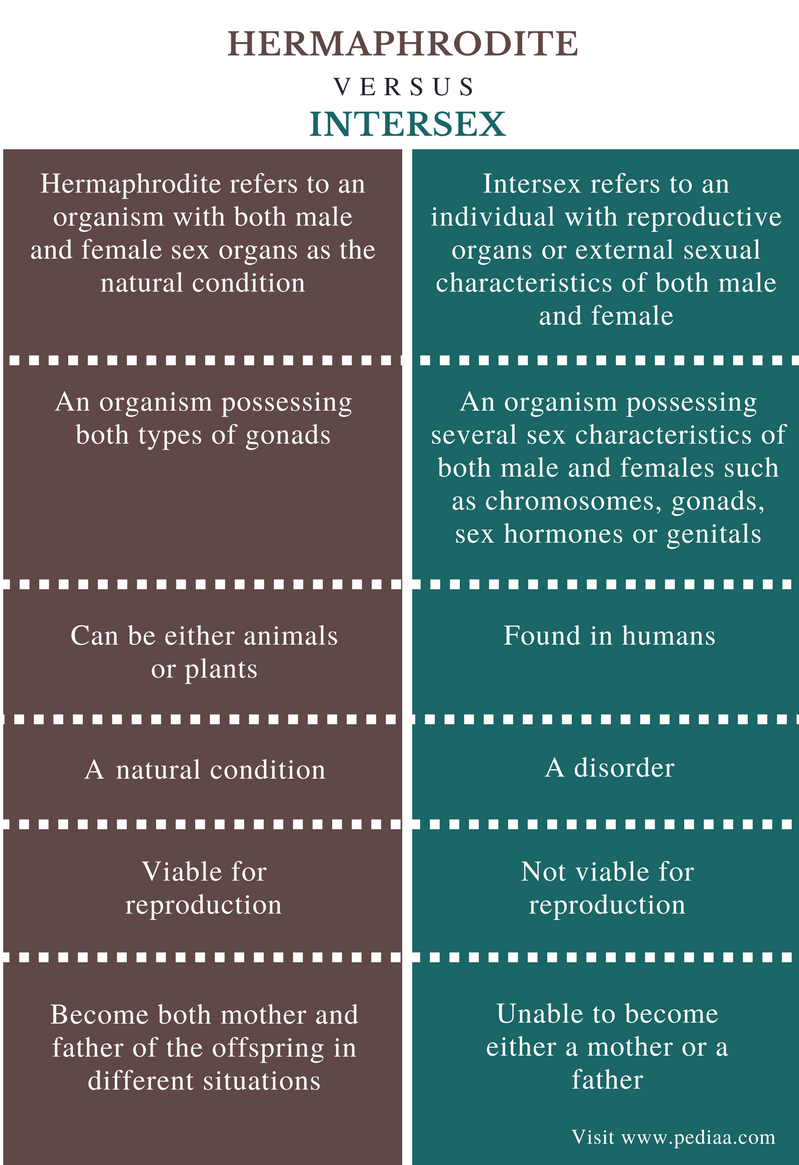 Difference Between Hermaphrodite And Intersex Definition Facts Examples Syndromes Differences 