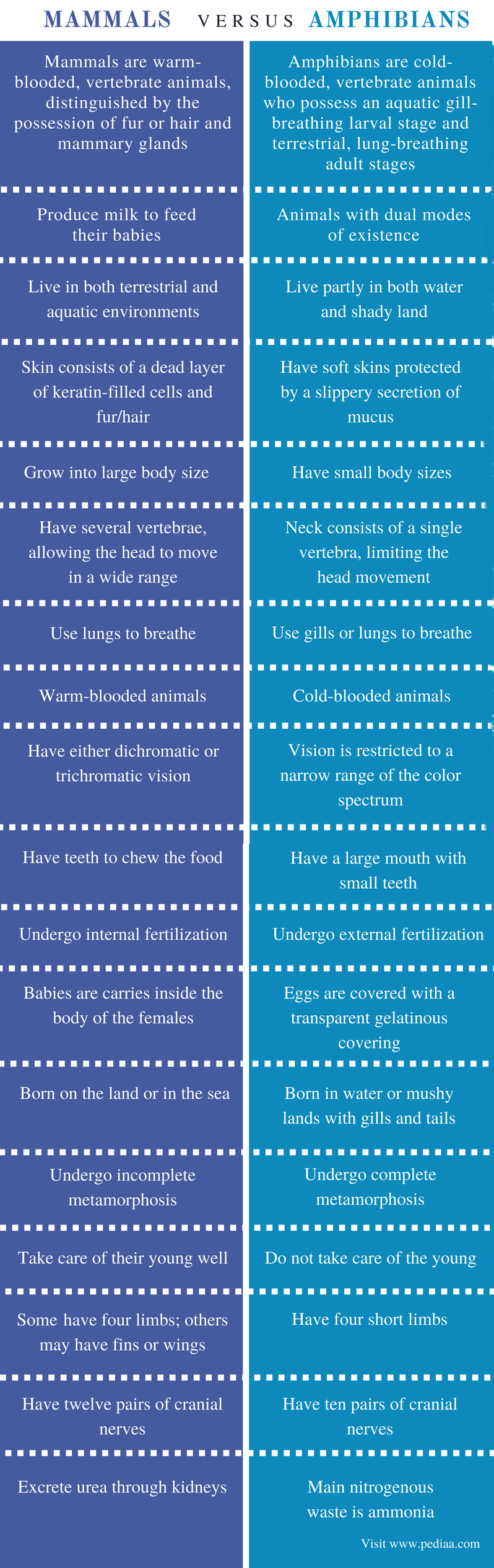 difference-between-mammals-and-amphibians-definition-characteristics