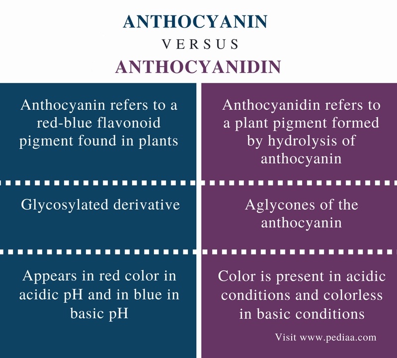 Difference Between Anthocyanin and Anthocyanidin | Definition, Fact, Benefits, Similarities and