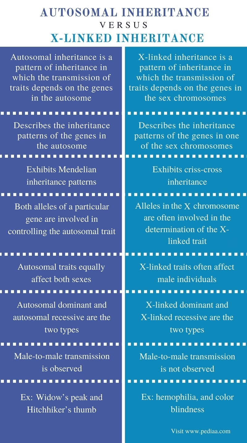 What Is The Difference Between Autosomal Dominant And Autosomal Recessive Inheritance