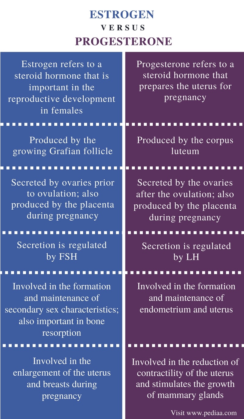 Difference Between Estrogen And Progesterone Definition Production Secretion Role 2451