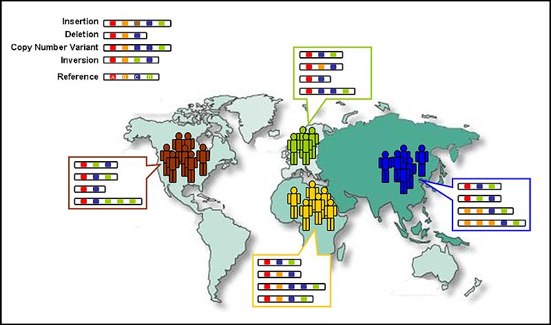 Difference Between Inbreeding And Outbreeding Definition Facts Advantages Disadvantages And Differences