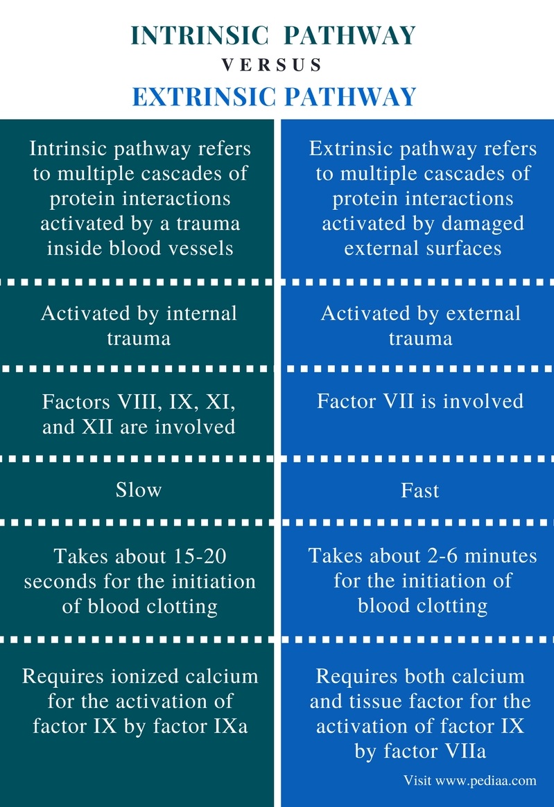 extrinsic vs intrinsic factors