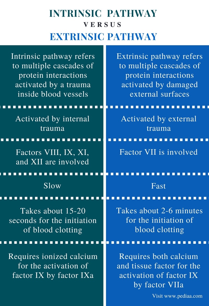 Difference Between Intrinsic And Extrinsic Pathway In Blood Clotting Definition Activation Mechanism And Differences