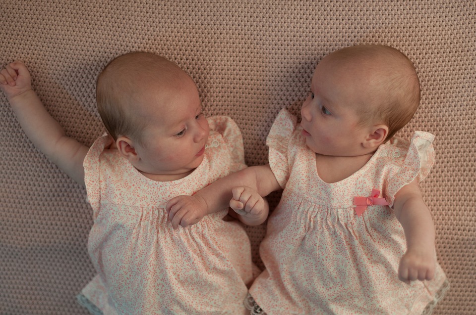 Difference Between Maternal And Paternal Twins Definition Formation 