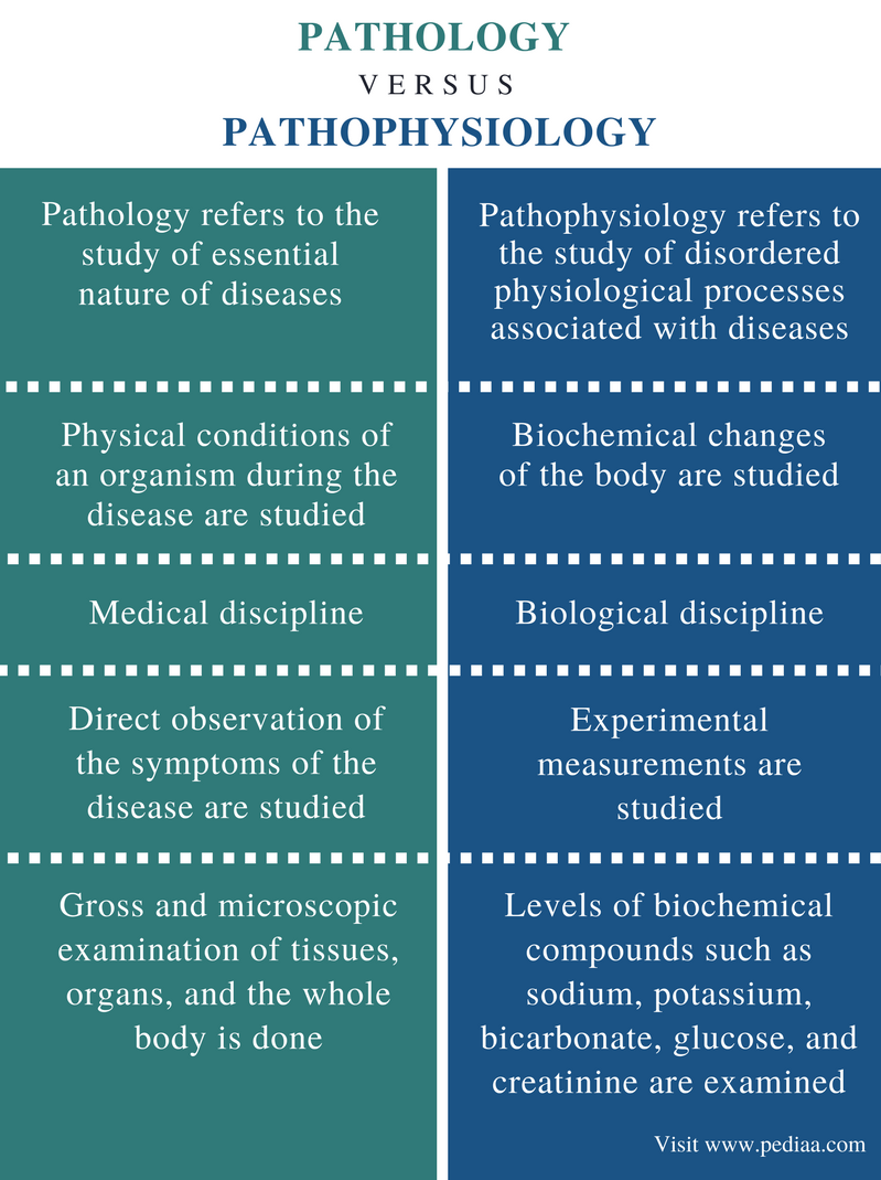 Comparisons between cystology histology and pathology