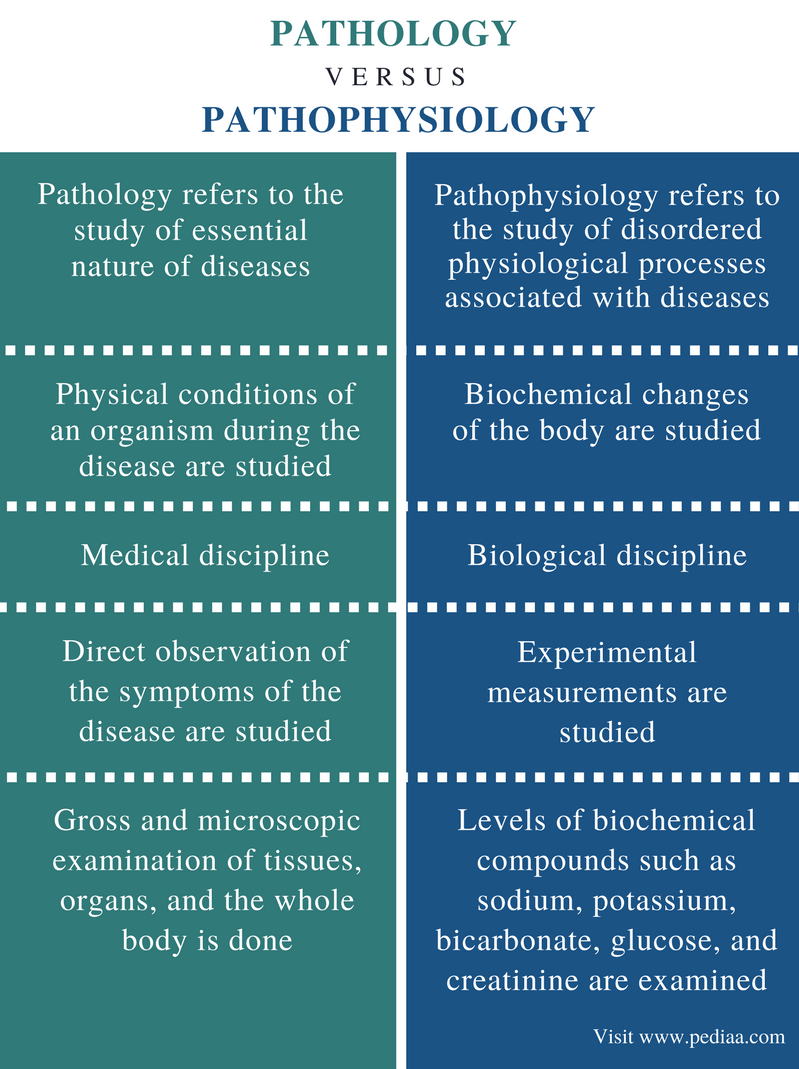 what is the difference between anatomy physiology and pathophysiology